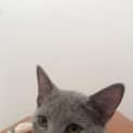 Photo of Dil