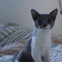 Photo of Dil