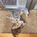 Photo of Nutmeg