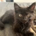 Photo of Sabrina