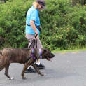 Photo of Ella