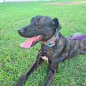 Photo of Kenzo