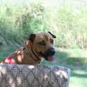 Photo of Abbie