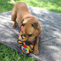 Photo of Abbie