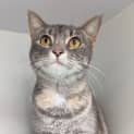 Photo of Marie