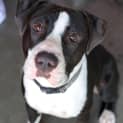 Photo of Junior