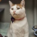 Photo of Hugo