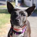 Photo of Deja