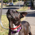 Photo of Deja