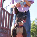 Photo of Deja