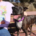 Photo of Deja