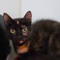 Photo of Meep