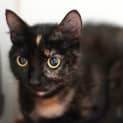 Photo of Meep