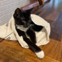 Photo of Rocky