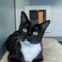 Photo of Charlee