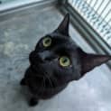 Photo of Atari