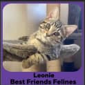 Photo of Leonie 