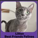 Photo of Lillian