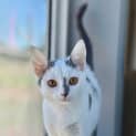 Photo of Betty