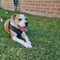 Photo of Susie
