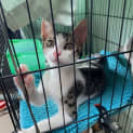 Photo of Bauble