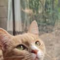 Photo of Cybelle