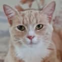 Photo of Cybelle