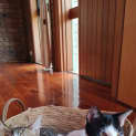 Photo of Eli