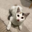 Photo of Olivia