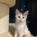 Photo of Olivia
