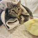 Photo of Hazel