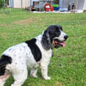 Photo of Elliott