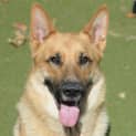 Photo of Hunter