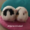 Photo of Ariane & Leisel