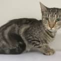 Photo of Cece
