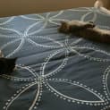Photo of Whiskers