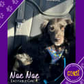 Photo of Nae Nae