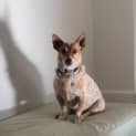 Photo of Arancia