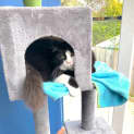 Photo of Tilli And Schmorli
