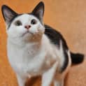Photo of Blizzard