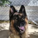 Photo of Tank