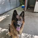 Photo of Tank
