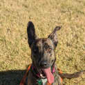 Photo of Jasmine