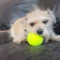 Photo of Bernie