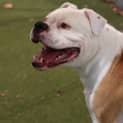 Photo of Ernie