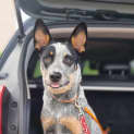 Photo of Cassie