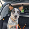 Photo of Cassie