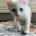 Photo of Olaf