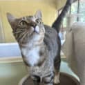 Photo of Stringbean