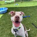 Photo of Winnie